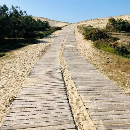 Nolmar, 5 Ch., 10 P. Wi-fi, 1200m Plage,****