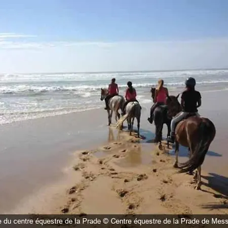 Nolmar, 5 Ch., 10 P. Wi-fi, 1200m Plage,**** *