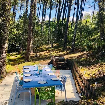 Nolmar, 5 Ch., 10 P. Wi-fi, 1200m Plage,**** Villa