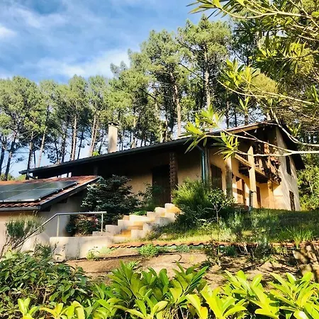 Nolmar, 5 Ch., 10 P. Wi-fi, 1200m Plage,**** Villa Messanges (Landes)